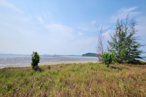 34440m² Land in Krabi, Thailand No. 97262 7