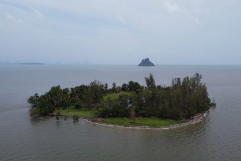 34440m² Land in Krabi, Thailand No. 97262 19