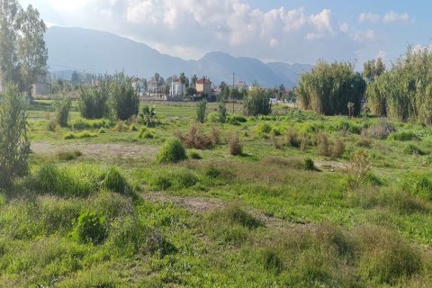 Land in Zakynthos, Greece No. 24497 9