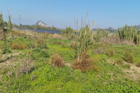 Land in Zakynthos, Greece No. 24497 2