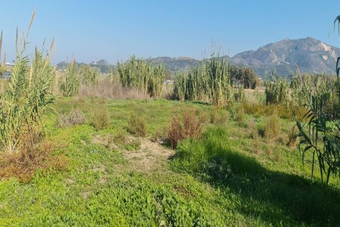 Land in Zakynthos, Greece No. 24497 3
