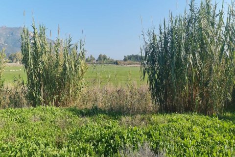 Land in Zakynthos, Greece No. 24497 4