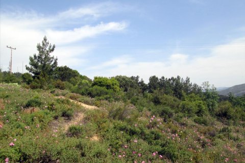 4700m² Land in Kavala, Greece No. 60353 5