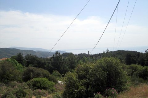 4700m² Land in Kavala, Greece No. 60353 3