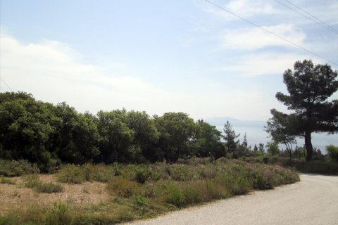 4700m² Land in Kavala, Greece No. 60353 4