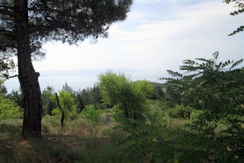 4700m² Land in Kavala, Greece No. 60353 8