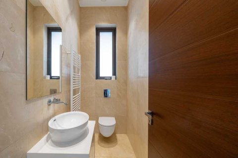 Дом с 3 спальнями в Пейя, Кипр №74155 11