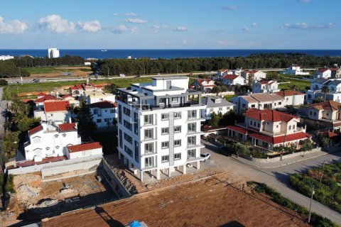 1 bedroom Penthouse in Bao Thuan, Vietnam No. 11103 6