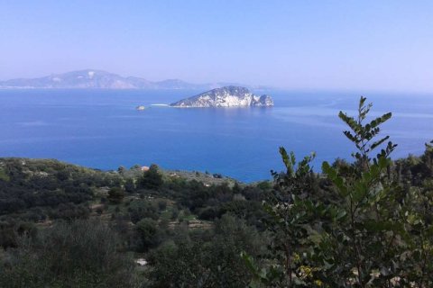 Land in Zakynthos, Greece No. 24606 3