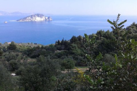 Land in Zakynthos, Greece No. 24606 4
