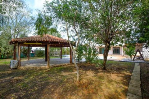 Дом с 3 спальнями в Строволос, Кипр №78640 10