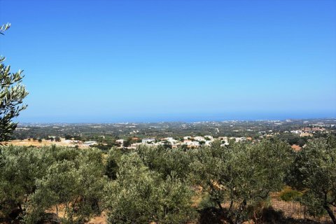 8556m² Land in Rethymno, Greece No. 59060 2
