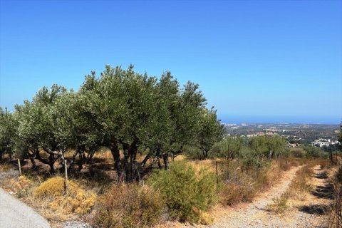 8556m² Land in Rethymno, Greece No. 59060 9
