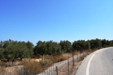8556m² Land in Rethymno, Greece No. 59060 8