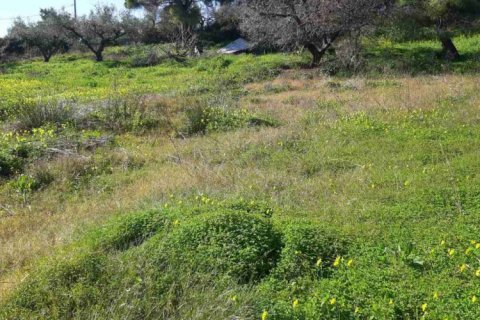 Land in Zakynthos, Greece No. 24516 4