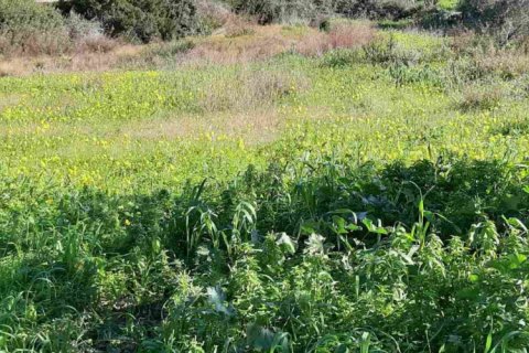 Land in Zakynthos, Greece No. 24516 12