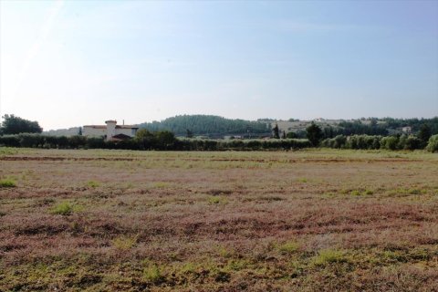 11600m² Land in Thermi, Greece No. 59391 4