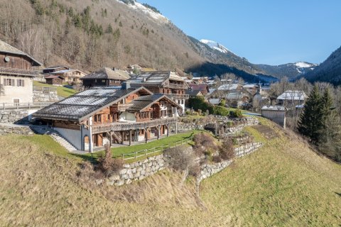 5 bedrooms House in Montriond, France No. 100208 3