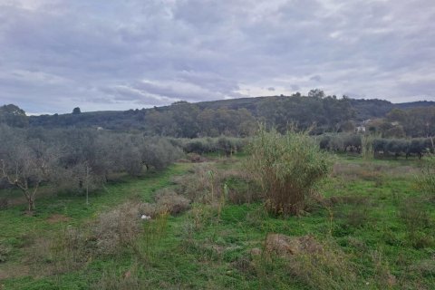 5 dormitorios Villa en Chania, Greece No. 75243 10