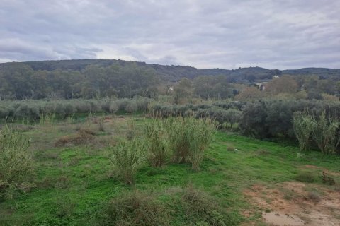 5 dormitorios Villa en Chania, Greece No. 75243 21