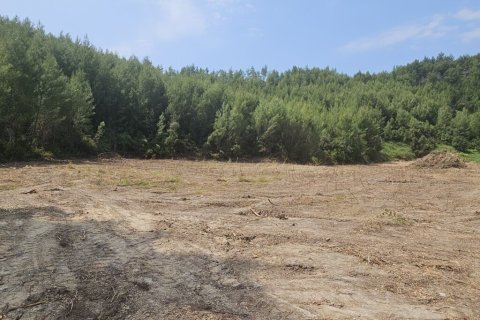 4100m² Land in Chalkidiki, Greece No. 107602 1
