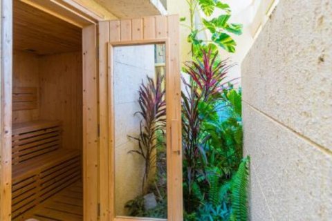 3 bedrooms Apartment in Hua Hin, Thailand No. 95886 19