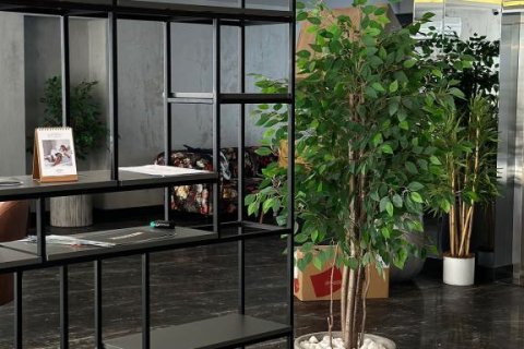 Квартира с 2 комнатами в Chau Lang, Вьетнам №22332 9