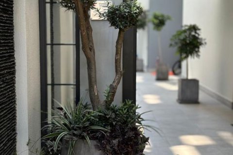 Квартира с 2 комнатами в Chau Lang, Вьетнам №22332 13