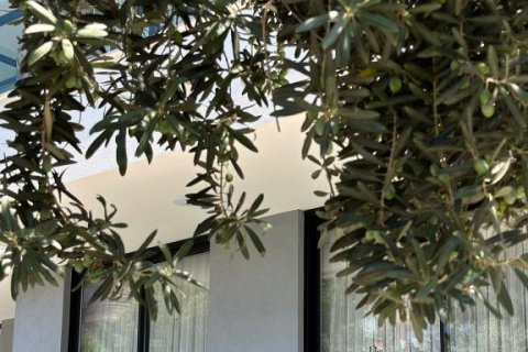 Квартира с 2 комнатами в Chau Lang, Вьетнам №22332 14