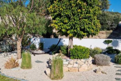 Вилла с 3 спальнями в Куклия, Кипр №101110 3