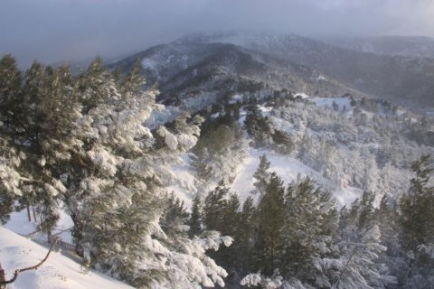 5 bedrooms Villa in Limassol, Cyprus No. 106989 14