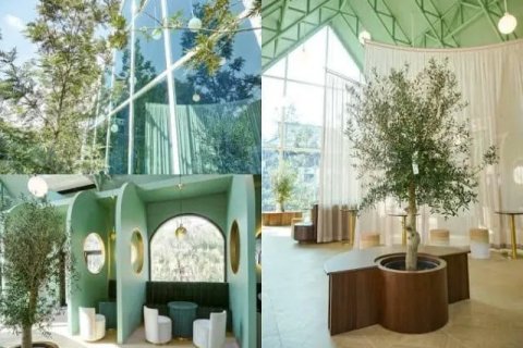 20 dormitorios Commercial property en Chiang Mai, Thailand No. 66399 6