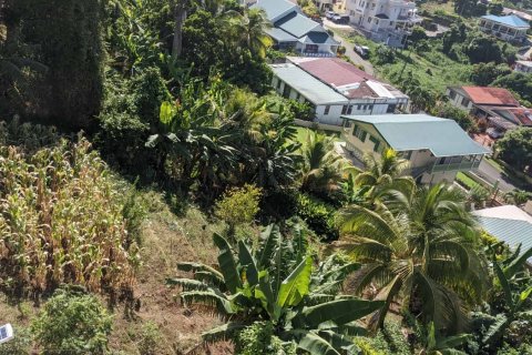 929m² Land in Roseau, Dominica No. 66260 5