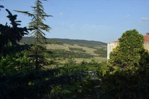 2 bedrooms Villa in Oraiokastro, Greece No. 57301 24