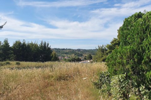 Земельный участок 8962м² в Халкидики, Греция №60658 5