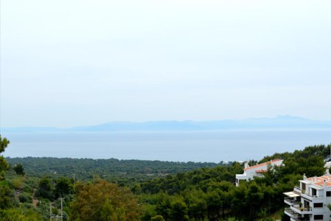 8 bedrooms House in Marathon, Greece No. 58696 2