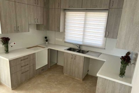 6 chambres Villa à Pegeia, Cyprus No. 39531 13