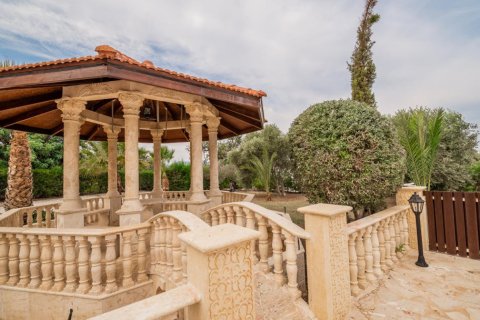 Вилла с 4 спальнями в Пафос, Кипр №106261 13