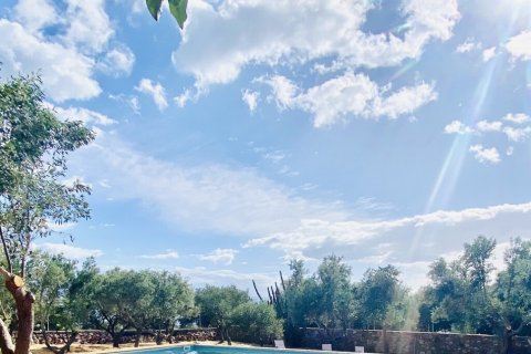 3 bedrooms Villa in Laconia, Greece No. 107504 17