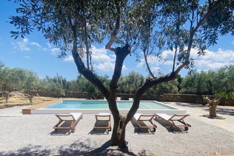 3 bedrooms Villa in Laconia, Greece No. 107504 18