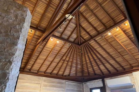 5 chambres Villa à Agios Tychonas, Cyprus No. 101263 3