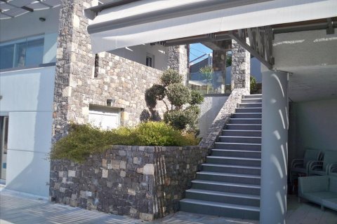 300m² Villa in Malesina, Greece No. 57731 1