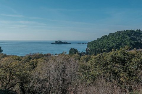 19 bedrooms Hotel in Budva, Montenegro No. 66949 1