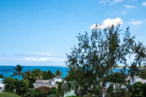 Квартира с 3 спальнями в Тамарин, Маврикий №118061 3