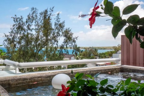 Квартира с 3 спальнями в Тамарин, Маврикий №118061 19