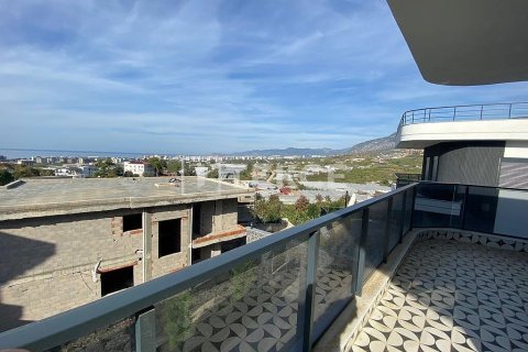 3 chambres Villa à Chau Lang, Vietnam No. 16641 15