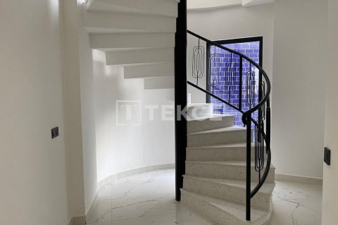 3 chambres Villa à Chau Lang, Vietnam No. 16641 9