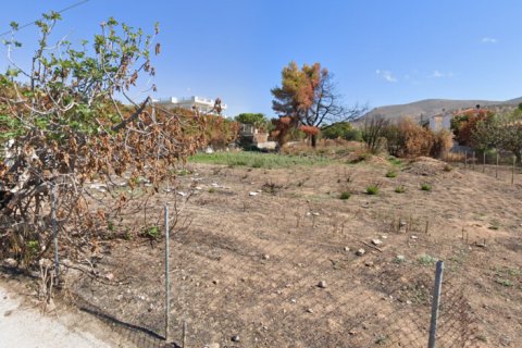 1077m² Land en Kalyvia Thorikou, Greece No. 110009