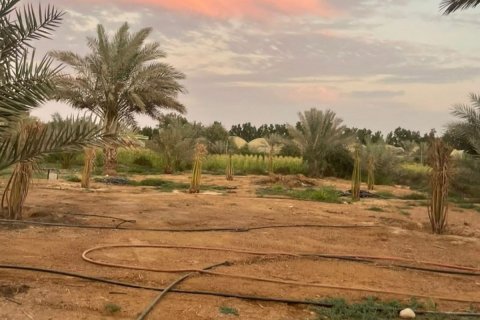 23226m² Land en Binh Duong, Vietnam No. 5971 26