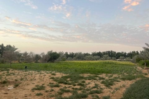 23226m² Land en Binh Duong, Vietnam No. 5971 25